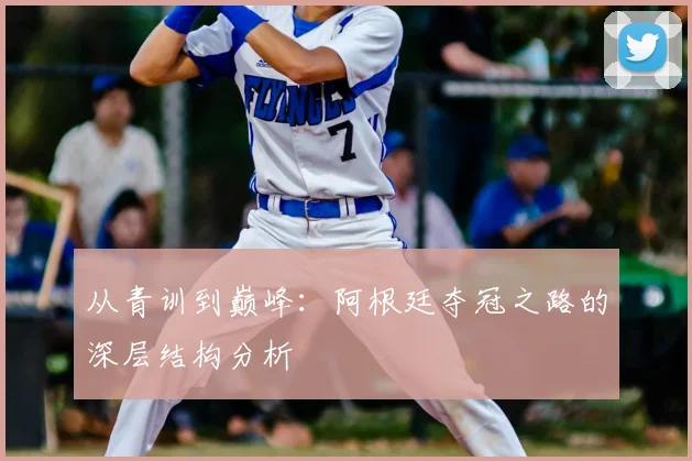 从青训到巅峰：阿根廷夺冠之路的深层结构分析