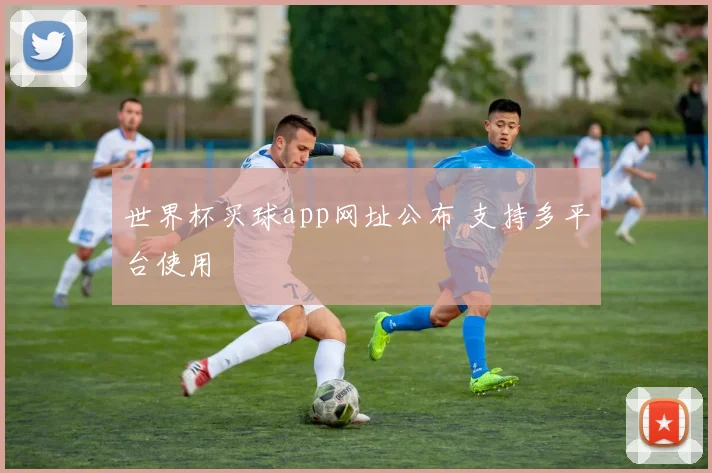 世界杯买球app网址公布 支持多平台使用