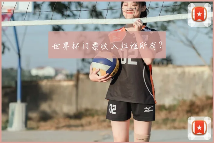 世界杯门票收入归谁所有？