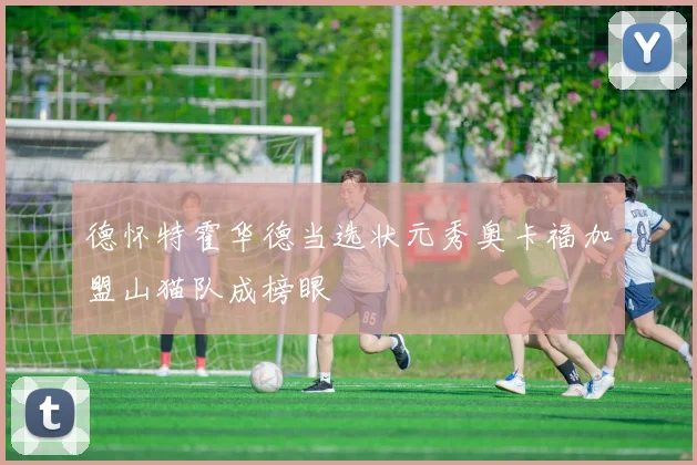 德怀特霍华德当选状元秀奥卡福加盟山猫队成榜眼