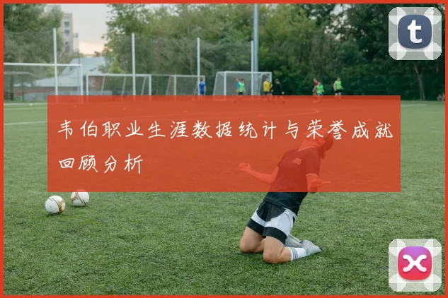 韦伯职业生涯数据统计与荣誉成就回顾分析