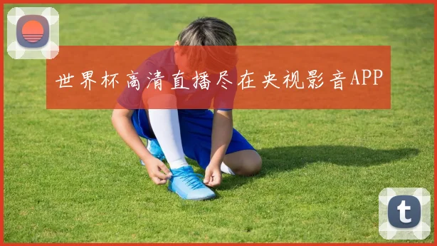 世界杯高清直播尽在央视影音APP