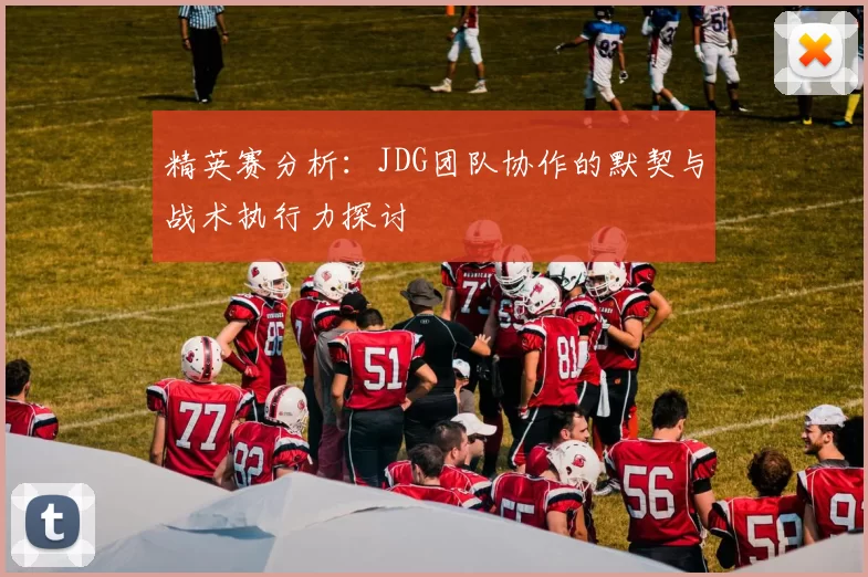 精英赛分析：JDG团队协作的默契与战术执行力探讨