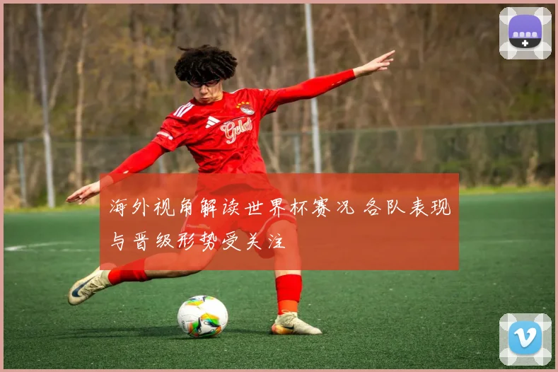 海外视角解读世界杯赛况 各队表现与晋级形势受关注