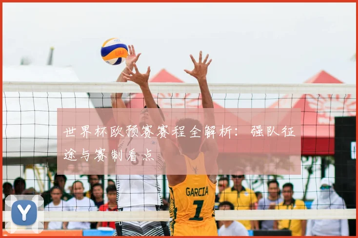 世界杯欧预赛赛程全解析：强队征途与赛制看点