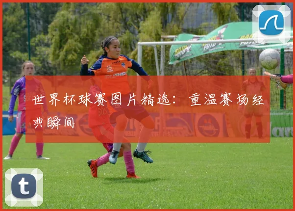 世界杯球赛图片精选：重温赛场经典瞬间