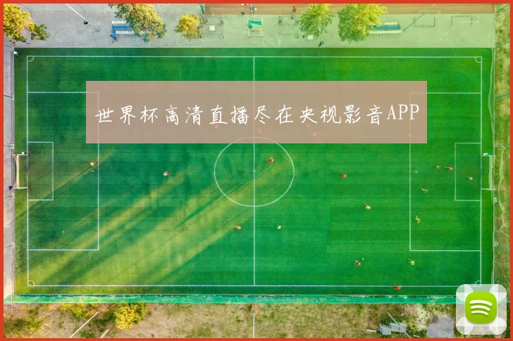 世界杯高清直播尽在央视影音APP