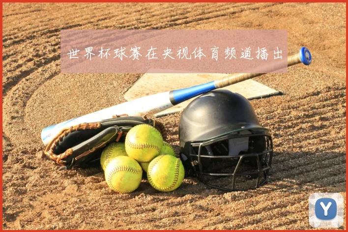 世界杯球赛在央视体育频道播出