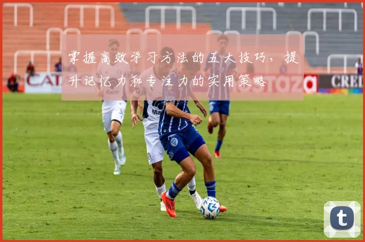 掌握高效学习方法的五大技巧，提升记忆力和专注力的实用策略