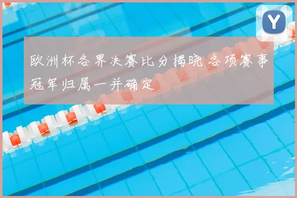 欧洲杯各界决赛比分揭晓 各项赛事冠军归属一并确定