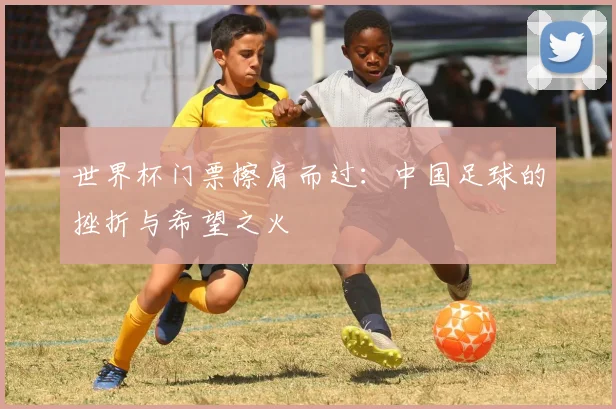 世界杯门票擦肩而过：中国足球的挫折与希望之火