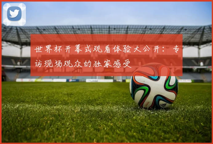 世界杯开幕式观看体验大公开：专访现场观众的独家感受